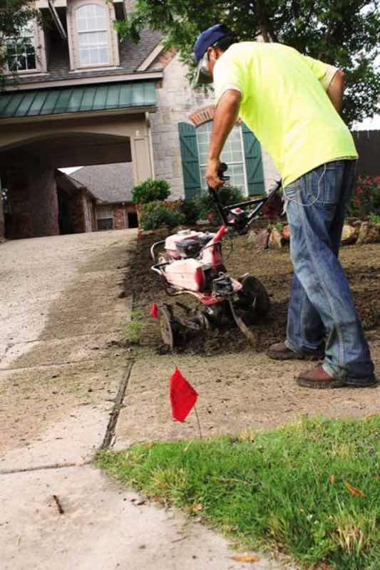 Zoysia Lawn in Euless