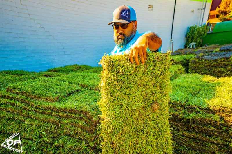 {SERVICE_NAME} project in Euless