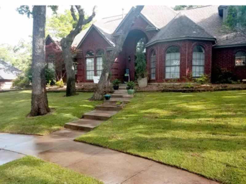 Lawn Replacement near Grapevine