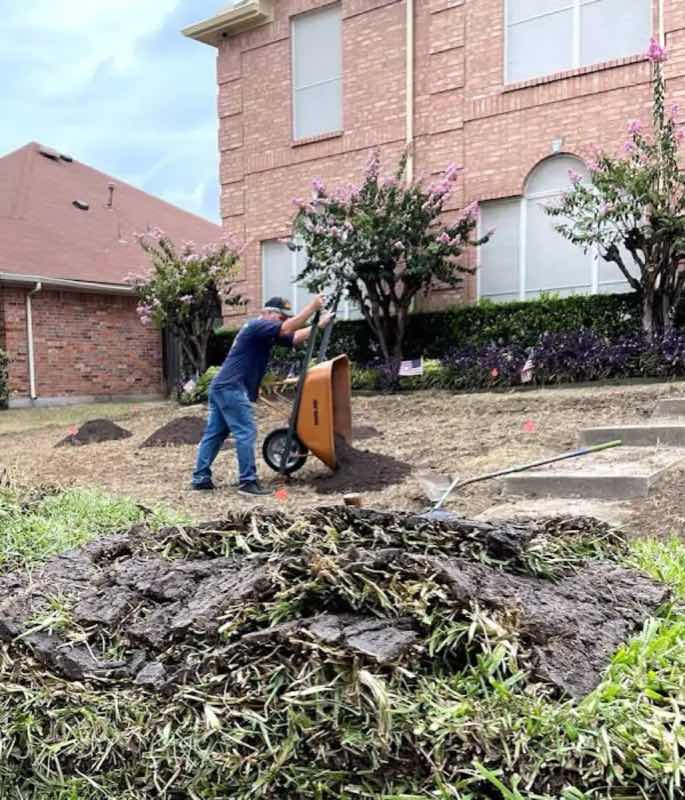Lawn Replacement near North Richland Hills